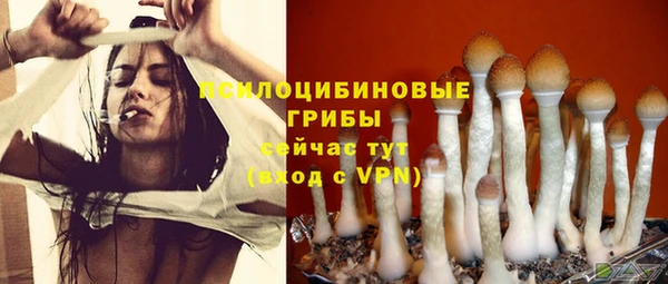 PSILOCYBIN Кущёвская