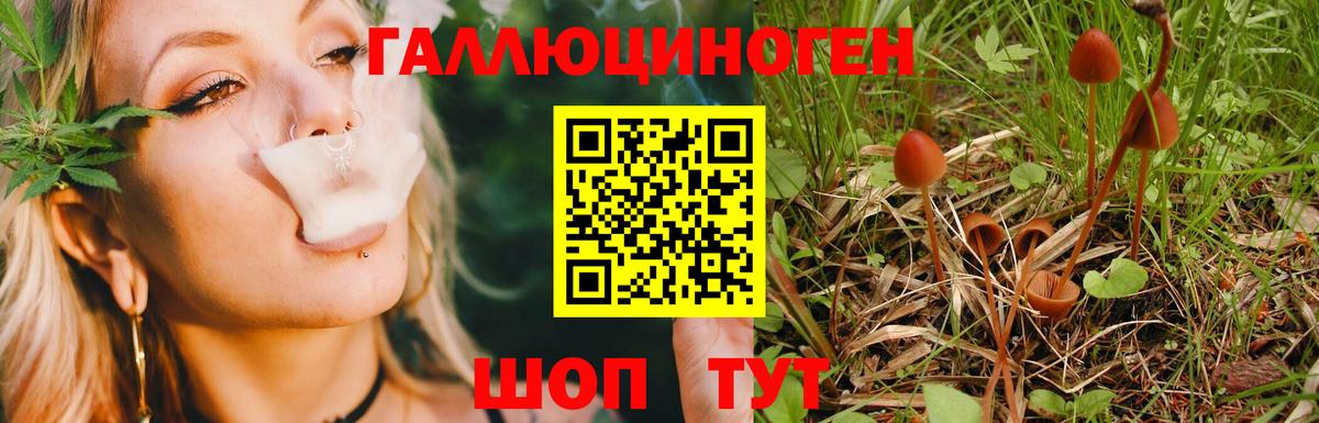 Псилоцибиновые грибы ЛСД Норильск