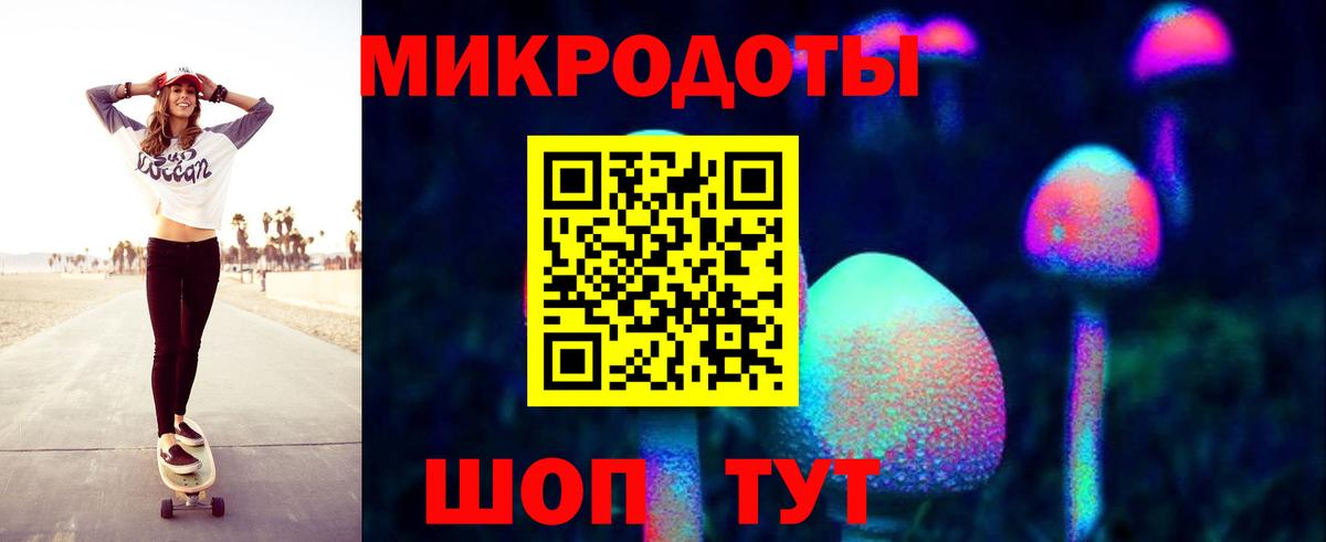 Норильск  Псилоцибиновые грибы Psilocybine cubensis  Вход с VPN 