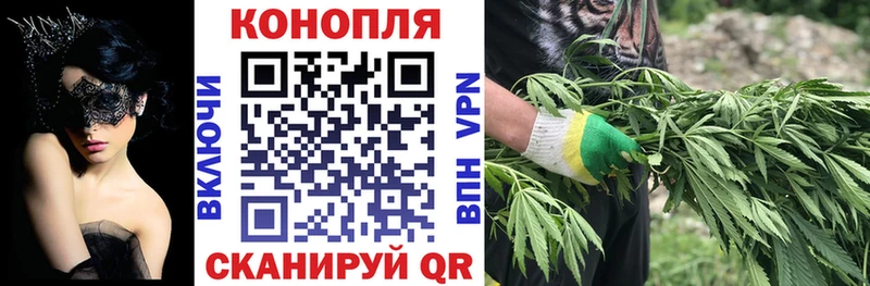 купить  сайты  Норильск  Бошки марихуана гибрид 